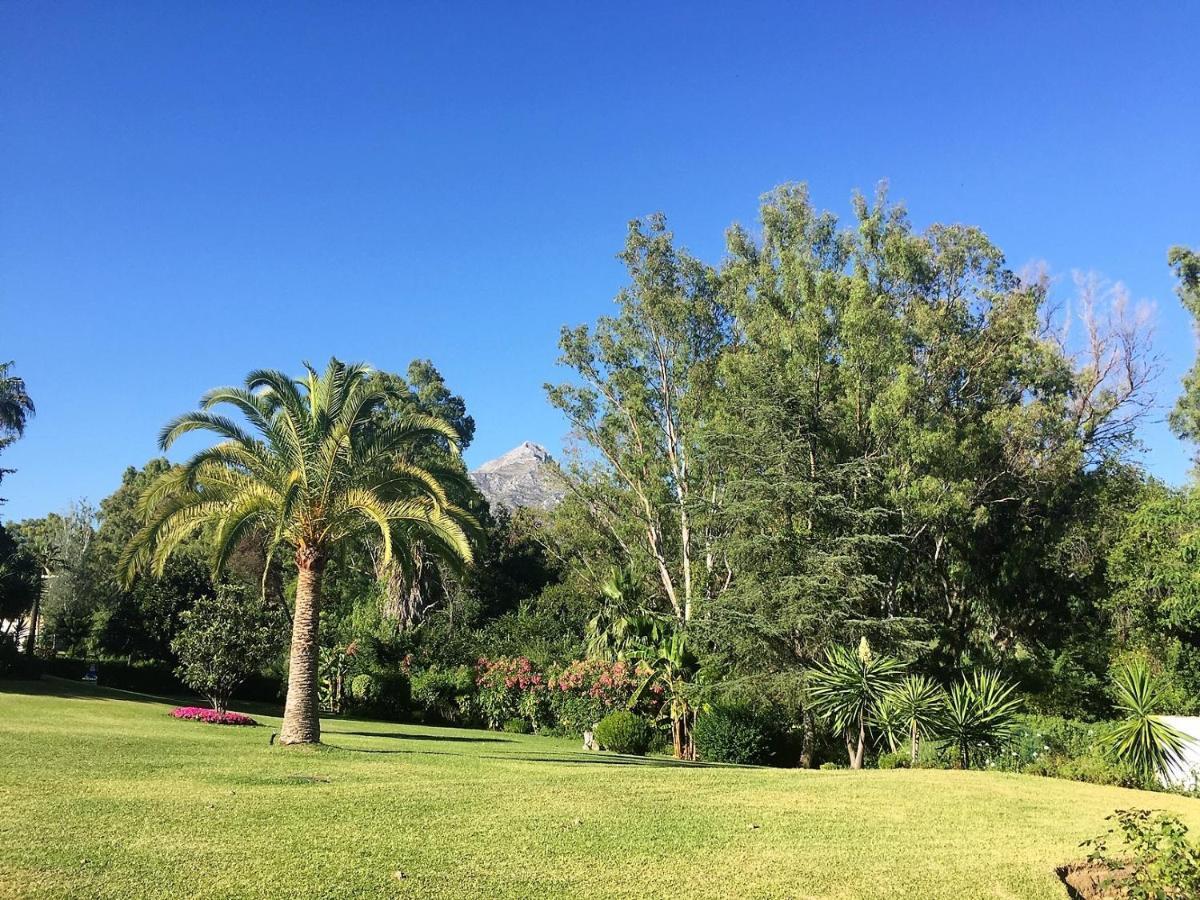 Appartamento Nueva Andalucia - Penthouse Marbella Esterno foto